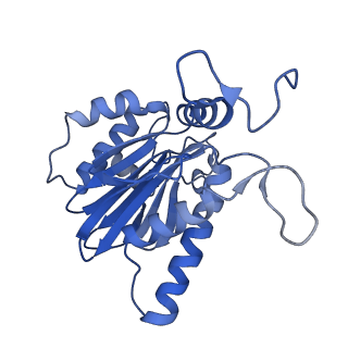 10462_6tcz_e_v1-2
Leishmania tarentolae proteasome 20S subunit complexed with LXE408