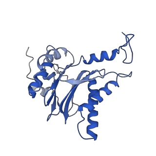 10462_6tcz_f_v1-2
Leishmania tarentolae proteasome 20S subunit complexed with LXE408