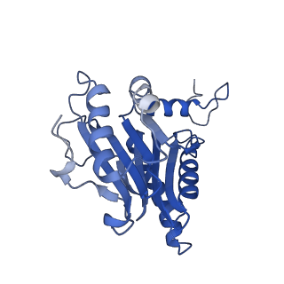 10462_6tcz_g_v1-2
Leishmania tarentolae proteasome 20S subunit complexed with LXE408