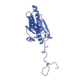 10462_6tcz_h_v1-2
Leishmania tarentolae proteasome 20S subunit complexed with LXE408