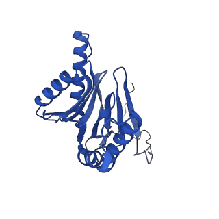10462_6tcz_i_v1-2
Leishmania tarentolae proteasome 20S subunit complexed with LXE408