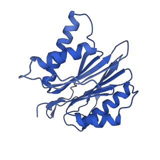 10462_6tcz_j_v1-2
Leishmania tarentolae proteasome 20S subunit complexed with LXE408