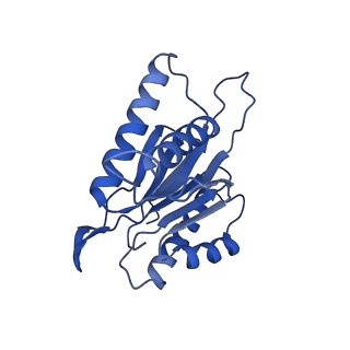 10462_6tcz_k_v1-2
Leishmania tarentolae proteasome 20S subunit complexed with LXE408