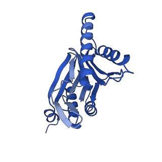 10462_6tcz_l_v1-2
Leishmania tarentolae proteasome 20S subunit complexed with LXE408