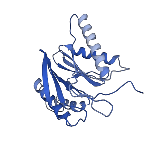 10462_6tcz_m_v1-2
Leishmania tarentolae proteasome 20S subunit complexed with LXE408
