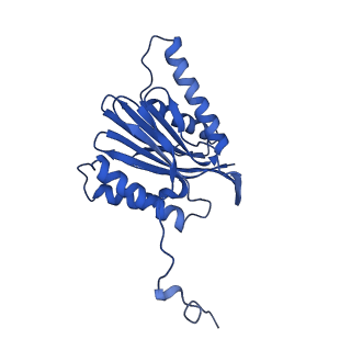 10462_6tcz_n_v1-2
Leishmania tarentolae proteasome 20S subunit complexed with LXE408