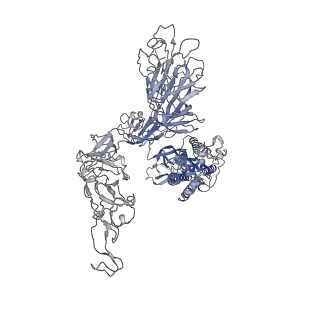 25807_7tca_A_v1-1
Cryo-EM structure of SARS-CoV-2 Omicron spike in complex with antibody A19-46.1