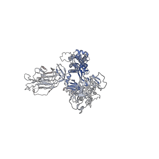 25807_7tca_B_v1-1
Cryo-EM structure of SARS-CoV-2 Omicron spike in complex with antibody A19-46.1