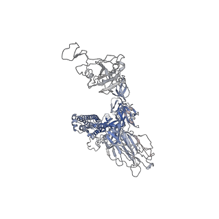 25807_7tca_C_v1-1
Cryo-EM structure of SARS-CoV-2 Omicron spike in complex with antibody A19-46.1