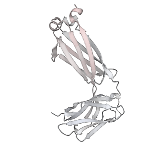 25807_7tca_E_v1-1
Cryo-EM structure of SARS-CoV-2 Omicron spike in complex with antibody A19-46.1