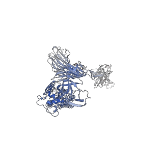 25808_7tcc_A_v1-1
Cryo-EM structure of SARS-CoV-2 Omicron spike in complex with antibodies A19-46.1 and B1-182.1