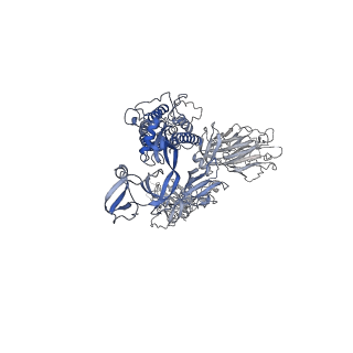 25808_7tcc_B_v1-1
Cryo-EM structure of SARS-CoV-2 Omicron spike in complex with antibodies A19-46.1 and B1-182.1