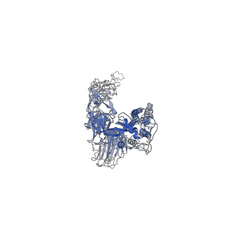25808_7tcc_C_v1-1
Cryo-EM structure of SARS-CoV-2 Omicron spike in complex with antibodies A19-46.1 and B1-182.1