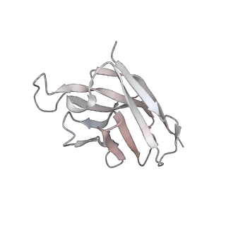 25808_7tcc_D_v1-1
Cryo-EM structure of SARS-CoV-2 Omicron spike in complex with antibodies A19-46.1 and B1-182.1