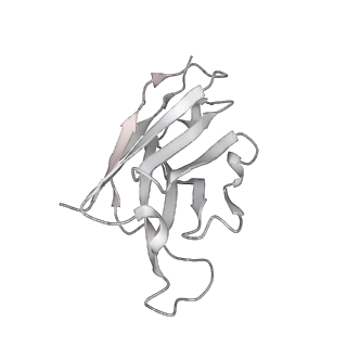 25808_7tcc_M_v1-1
Cryo-EM structure of SARS-CoV-2 Omicron spike in complex with antibodies A19-46.1 and B1-182.1