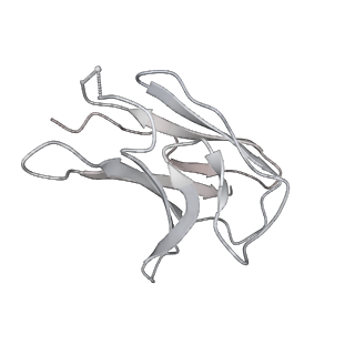25808_7tcc_P_v1-1
Cryo-EM structure of SARS-CoV-2 Omicron spike in complex with antibodies A19-46.1 and B1-182.1
