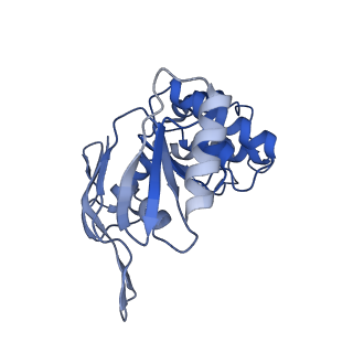 25811_7tcg_B_v1-2
BceAB nucleotide-free conformation