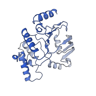 25811_7tcg_C_v1-1
BceAB nucleotide-free conformation