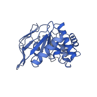 25812_7tch_B_v1-1
BceAB E169Q variant ATP-bound conformation