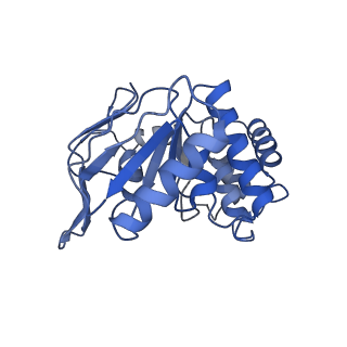 25812_7tch_B_v1-2
BceAB E169Q variant ATP-bound conformation