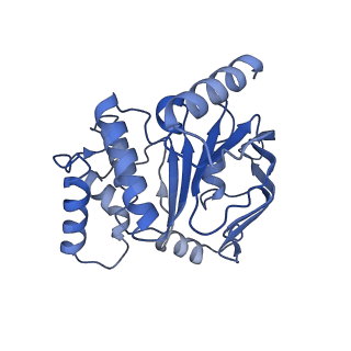 25812_7tch_C_v1-1
BceAB E169Q variant ATP-bound conformation