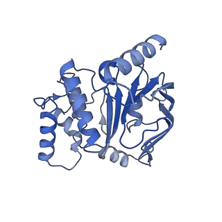 25812_7tch_C_v1-2
BceAB E169Q variant ATP-bound conformation