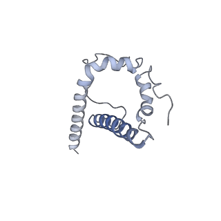 25814_7tcn_B_v1-0
Cryo-EM structure of CH235.12 in complex with HIV-1 Env trimer CH505TF.N279K.SOSIP.664 with high-mannose glycans