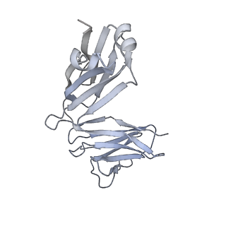 25814_7tcn_D_v1-0
Cryo-EM structure of CH235.12 in complex with HIV-1 Env trimer CH505TF.N279K.SOSIP.664 with high-mannose glycans