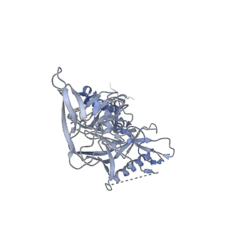 25814_7tcn_I_v1-0
Cryo-EM structure of CH235.12 in complex with HIV-1 Env trimer CH505TF.N279K.SOSIP.664 with high-mannose glycans