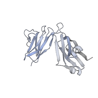 25814_7tcn_L_v1-0
Cryo-EM structure of CH235.12 in complex with HIV-1 Env trimer CH505TF.N279K.SOSIP.664 with high-mannose glycans