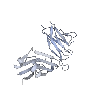 25815_7tco_D_v1-0
Cryo-EM structure of CH235.12 in complex with HIV-1 Env trimer CH505TF.N279K.G458Y.SOSIP.664 with high-mannose glycans