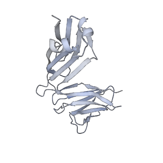 25815_7tco_H_v1-0
Cryo-EM structure of CH235.12 in complex with HIV-1 Env trimer CH505TF.N279K.G458Y.SOSIP.664 with high-mannose glycans
