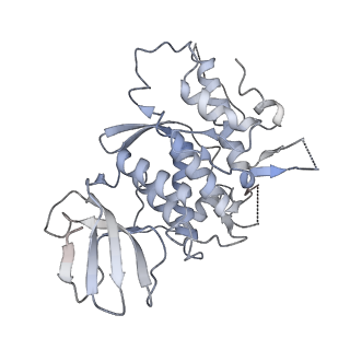 41156_8tco_C_v1-0
HCMV Trimer in complex with CS2it1p2_F7K Fab and CS4tt1p1_E3K Fab