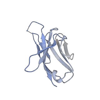 41156_8tco_D_v1-0
HCMV Trimer in complex with CS2it1p2_F7K Fab and CS4tt1p1_E3K Fab