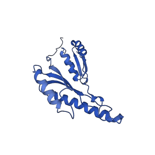 8398_5tcp_0_v1-5
Near-atomic resolution cryo-EM structure of the periplasmic domains of PrgH and PrgK