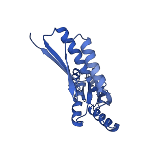 8398_5tcp_1_v1-5
Near-atomic resolution cryo-EM structure of the periplasmic domains of PrgH and PrgK