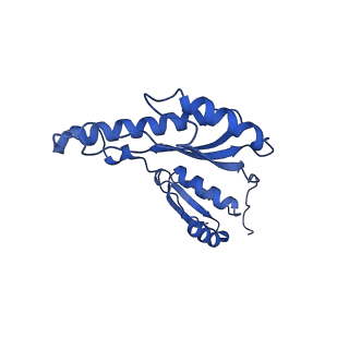 8398_5tcp_2_v1-5
Near-atomic resolution cryo-EM structure of the periplasmic domains of PrgH and PrgK