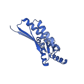 8398_5tcp_3_v1-5
Near-atomic resolution cryo-EM structure of the periplasmic domains of PrgH and PrgK