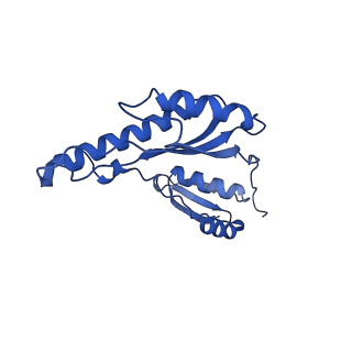 8398_5tcp_4_v1-5
Near-atomic resolution cryo-EM structure of the periplasmic domains of PrgH and PrgK