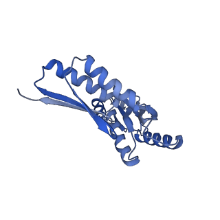 8398_5tcp_5_v1-5
Near-atomic resolution cryo-EM structure of the periplasmic domains of PrgH and PrgK