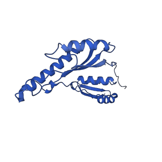 8398_5tcp_6_v1-5
Near-atomic resolution cryo-EM structure of the periplasmic domains of PrgH and PrgK