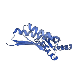 8398_5tcp_7_v1-5
Near-atomic resolution cryo-EM structure of the periplasmic domains of PrgH and PrgK