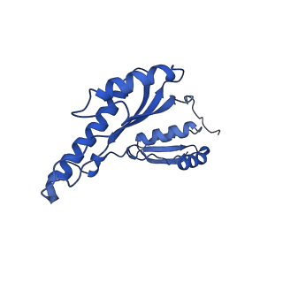 8398_5tcp_8_v1-5
Near-atomic resolution cryo-EM structure of the periplasmic domains of PrgH and PrgK