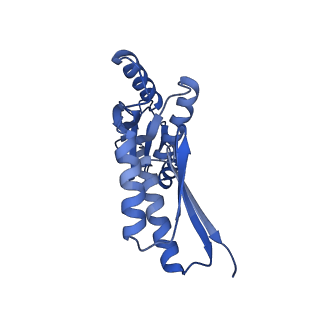 8398_5tcp_A_v1-5
Near-atomic resolution cryo-EM structure of the periplasmic domains of PrgH and PrgK