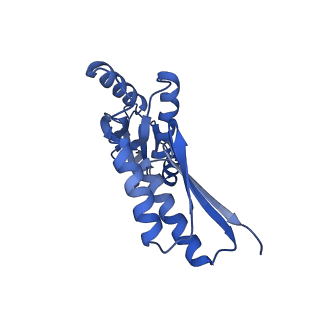 8398_5tcp_C_v1-5
Near-atomic resolution cryo-EM structure of the periplasmic domains of PrgH and PrgK