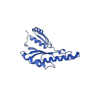 8398_5tcp_D_v1-5
Near-atomic resolution cryo-EM structure of the periplasmic domains of PrgH and PrgK