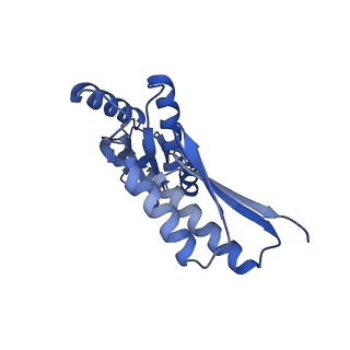 8398_5tcp_E_v1-5
Near-atomic resolution cryo-EM structure of the periplasmic domains of PrgH and PrgK