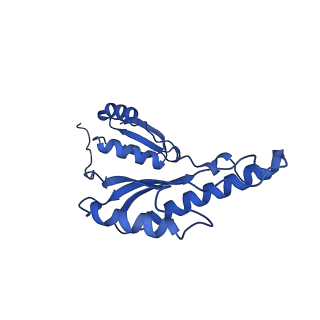 8398_5tcp_F_v1-5
Near-atomic resolution cryo-EM structure of the periplasmic domains of PrgH and PrgK