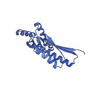 8398_5tcp_G_v1-5
Near-atomic resolution cryo-EM structure of the periplasmic domains of PrgH and PrgK