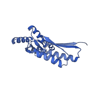 8398_5tcp_I_v1-5
Near-atomic resolution cryo-EM structure of the periplasmic domains of PrgH and PrgK